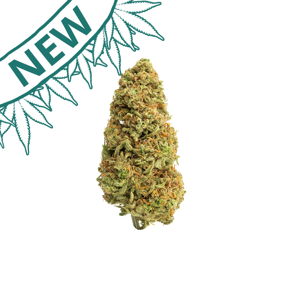 strawberry tangie candy thca flower new