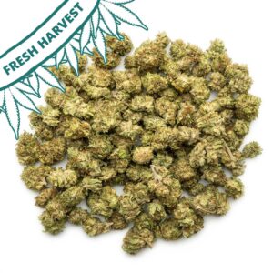 cbg white small buds fresh harvest