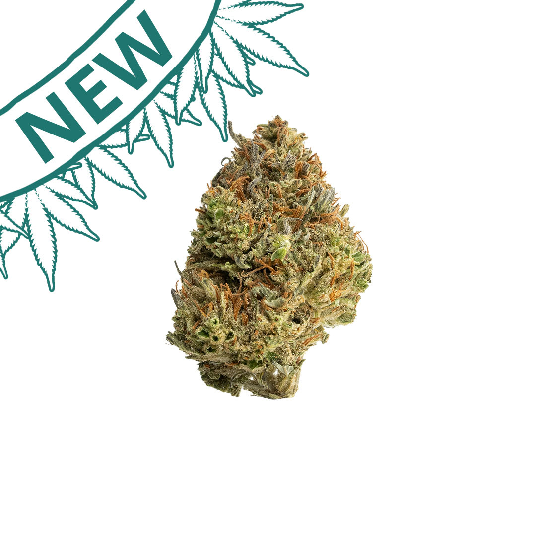 don souci outdoor grown thca flower hand trimmed bud new