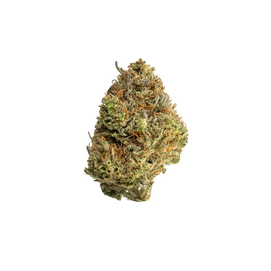 don souci outdoor grown thca flower hand trimmed bud