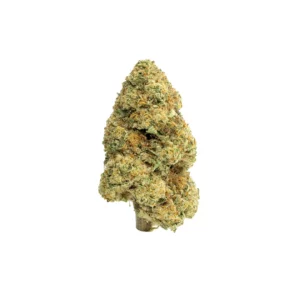 illuminati og outdoor grown thca flower hand trimmed bud