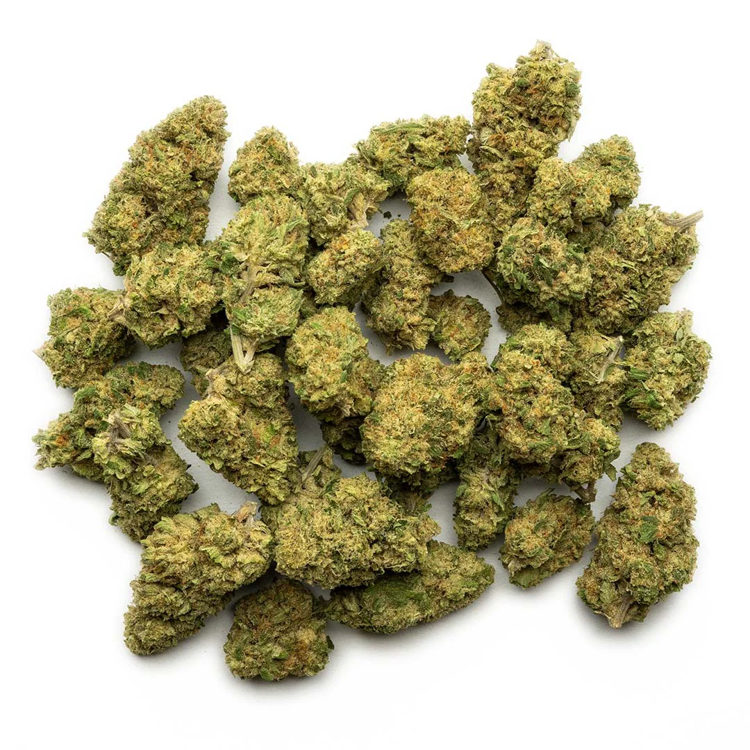 member og outdoor grown thca flower hand trimmed buds