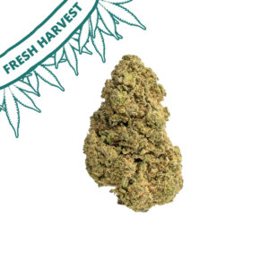 strawberry fritter outdoor grown delta 8 flower