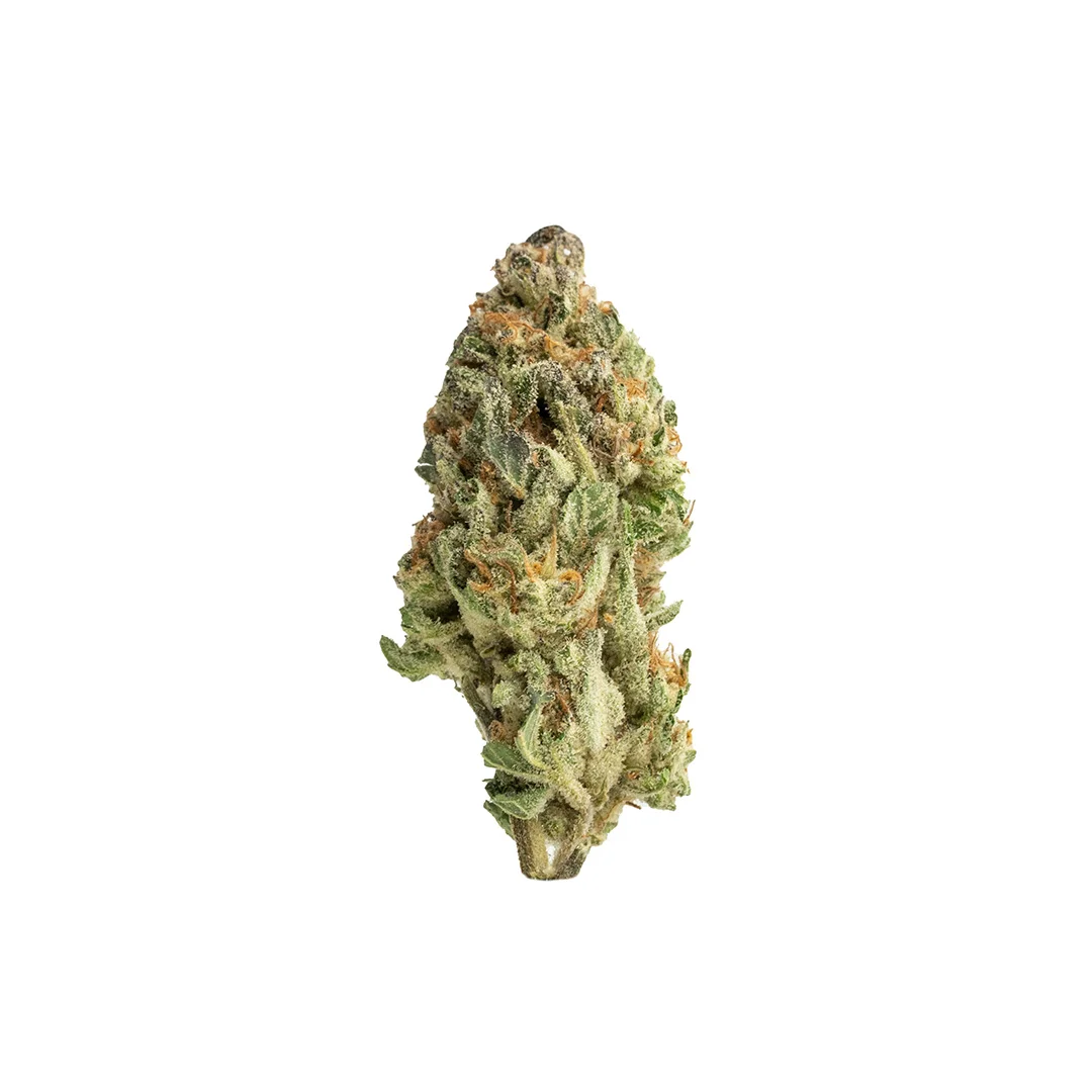 Haltya ‎– Forest Flavour Stream Haltya | Listen to Forest Flavor playlist online for free