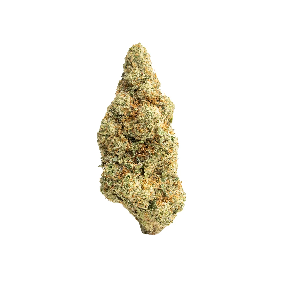Rain Drops | THCA Flower (Indoor)