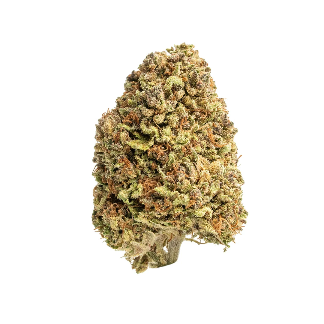 angel cake cbd flower hand trimmed bud