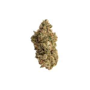 grape biscotti thca flower indoor grown hand trimmed bud