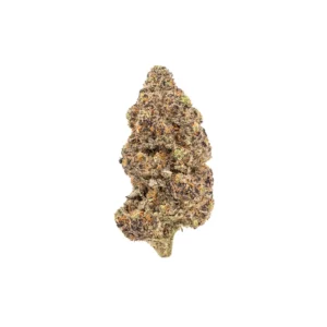 thca flower rain drops big bud hand trimmed